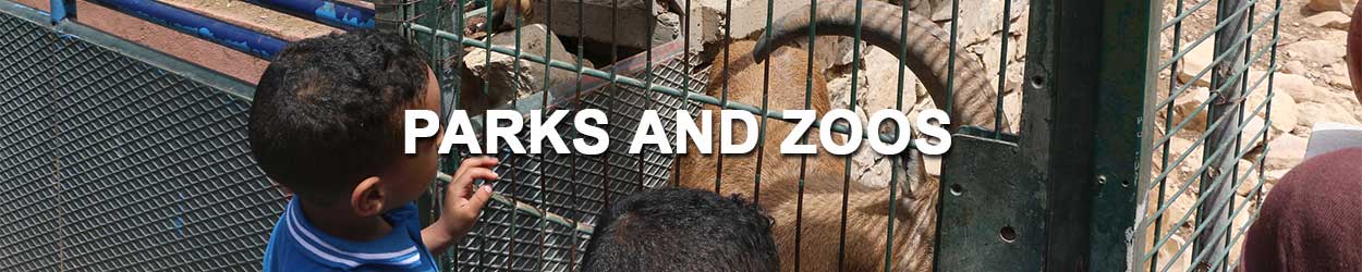 zoo, steel for parks and zoos